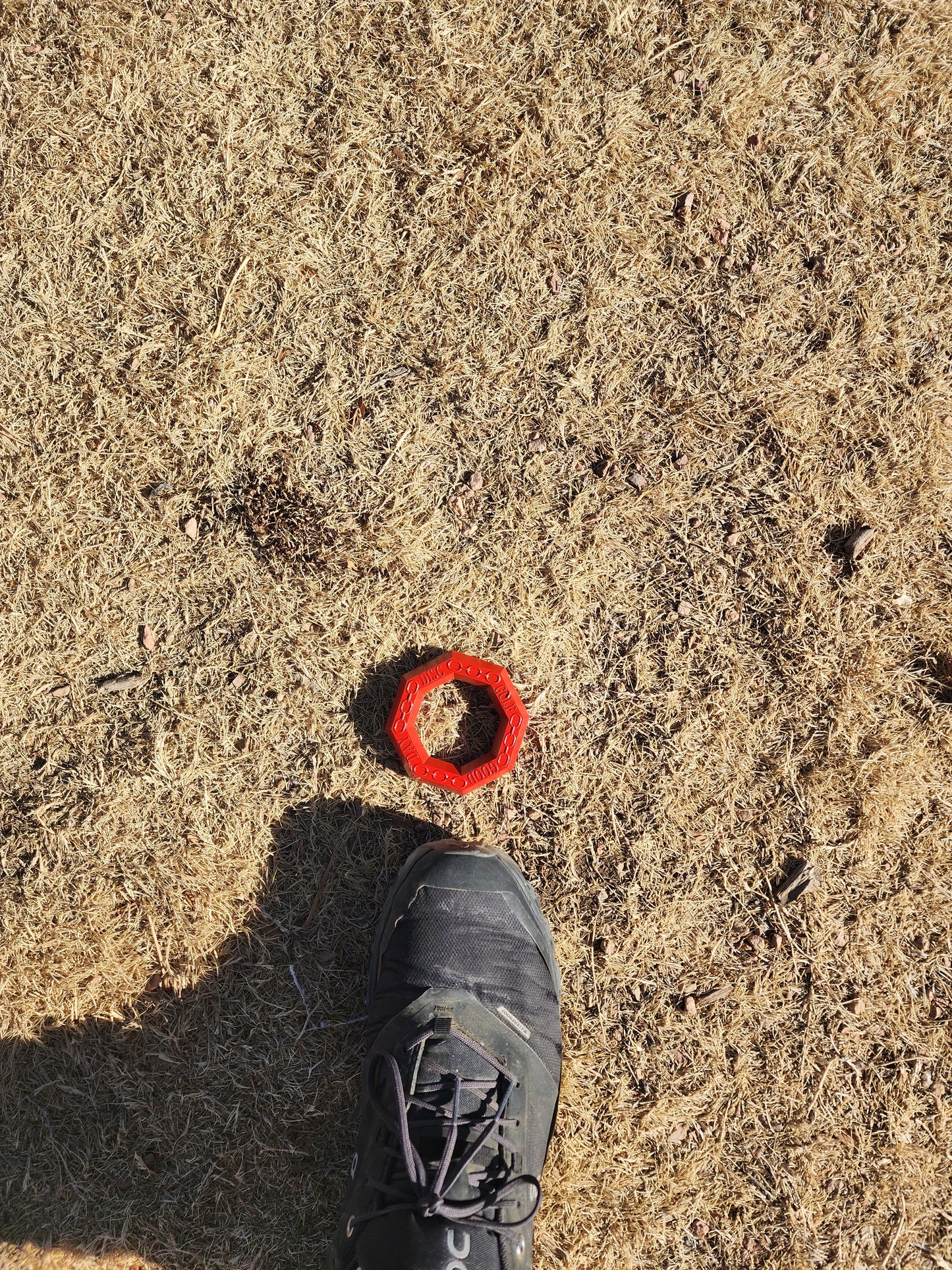 Octogan mini that stores on your disc golf cart handle
