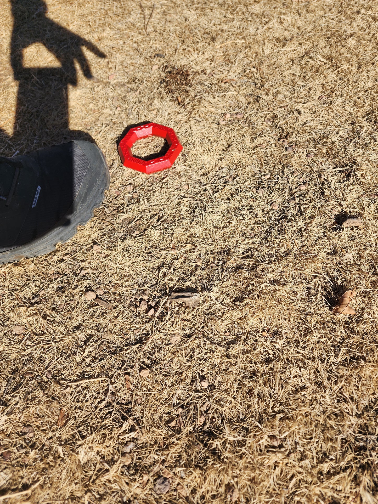 Octogan mini that stores on your disc golf cart handle